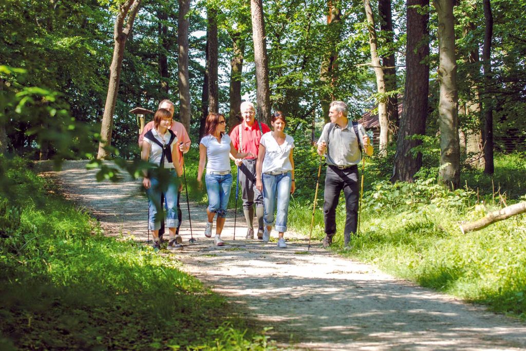 Zauberhafte Sommer in den Wäldern des Eichsfelds mit dem Hotel und Restaurant Norddeutscher Bund